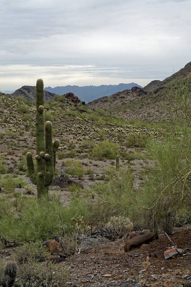 North Mountain Preserve